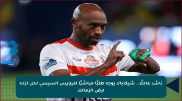 ناشد عاجلًا.. شيكابالا يوجه طلبًا مباشرًا للرئيس السيسي لحل أزمة أرض الزمالك